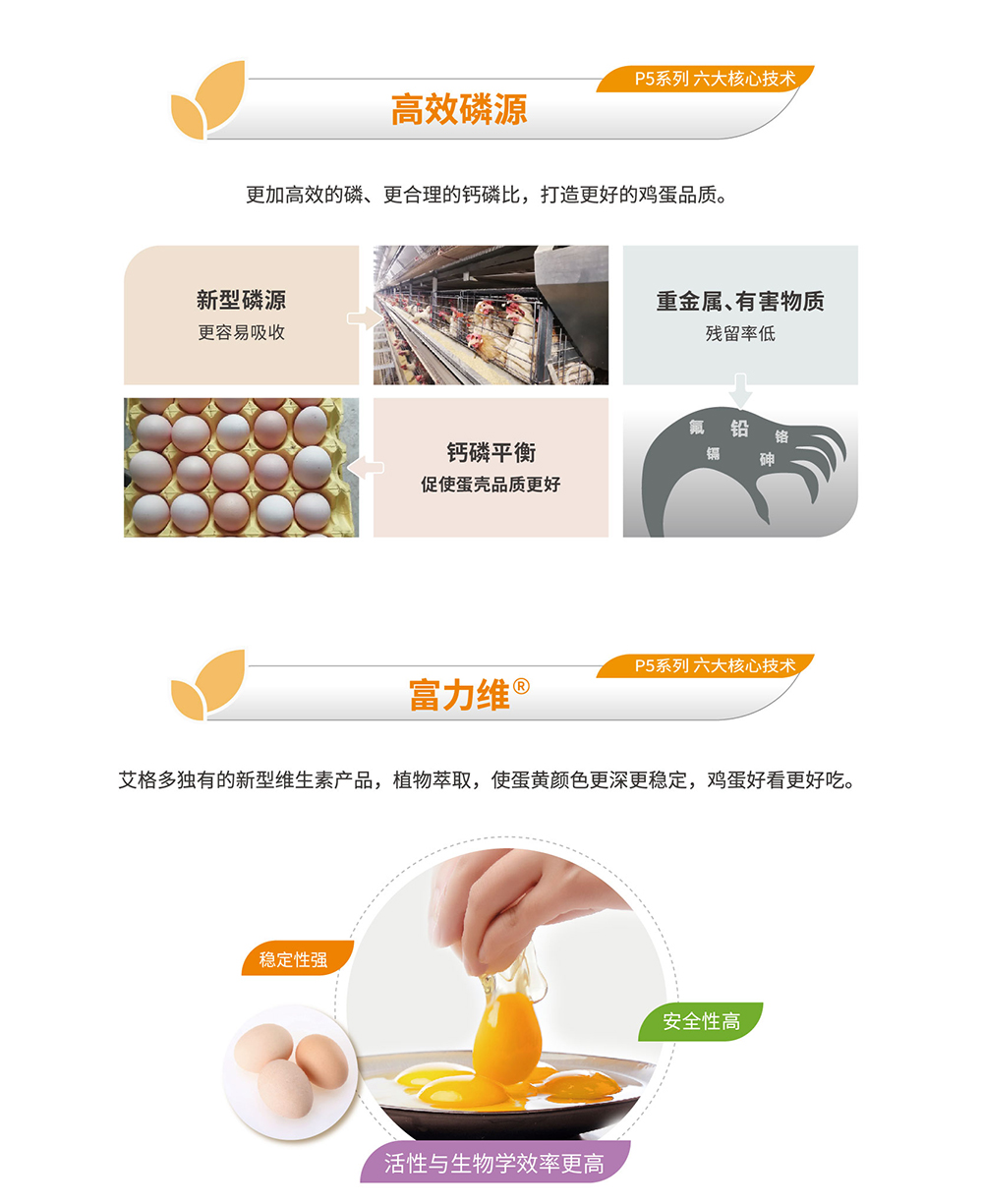 20220511粉殼蛋雞專用料P5系列_產(chǎn)品詳情頁(yè)_畫板 6