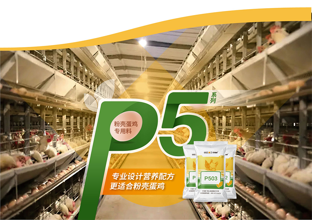 20220511粉殼蛋雞專用料P5系列_產(chǎn)品詳情頁(yè)_畫板 7